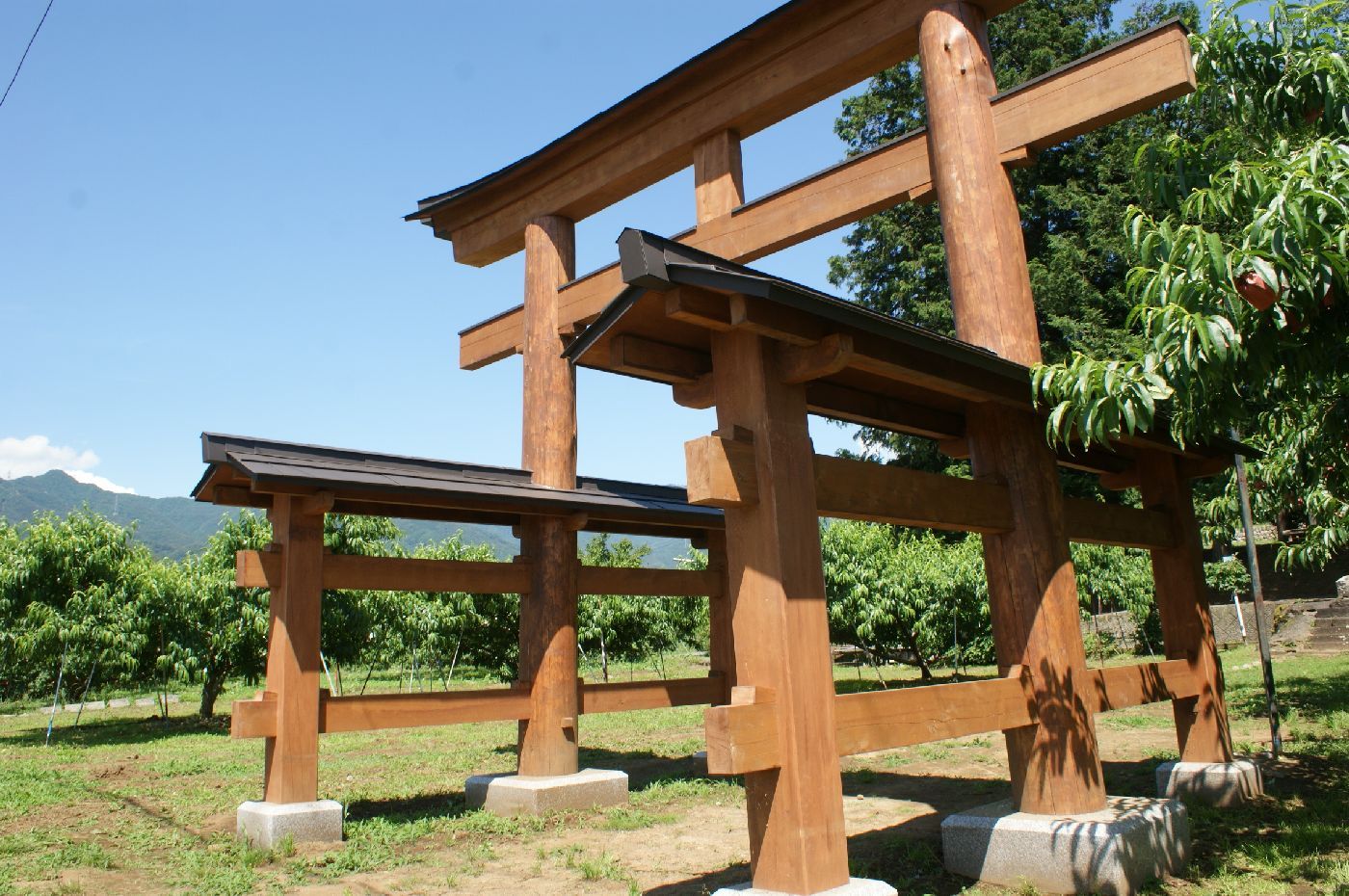 https://www.sumainomatsuki.com/DSC00358.JPG