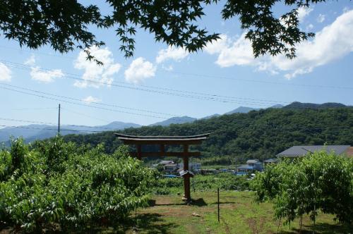 DSC00369.JPG