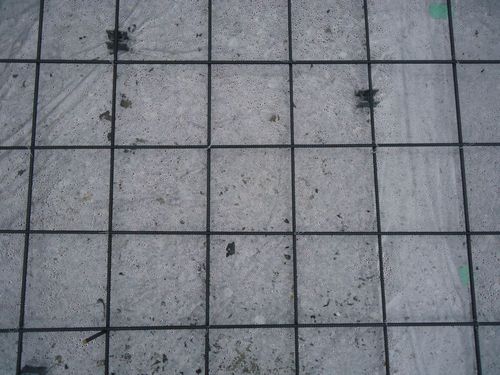 071.JPG
