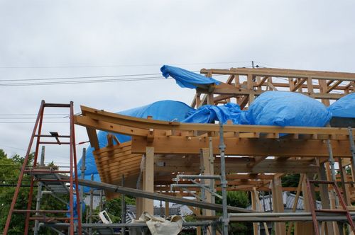 DSC02323.JPG