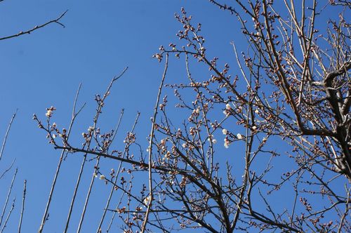 DSC03094.JPG