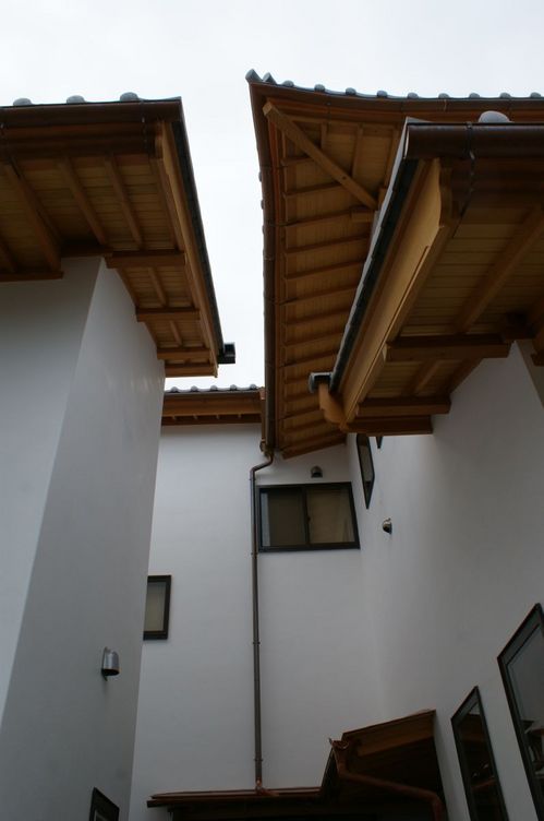 DSC03836.JPG