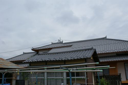 DSC03878.JPG