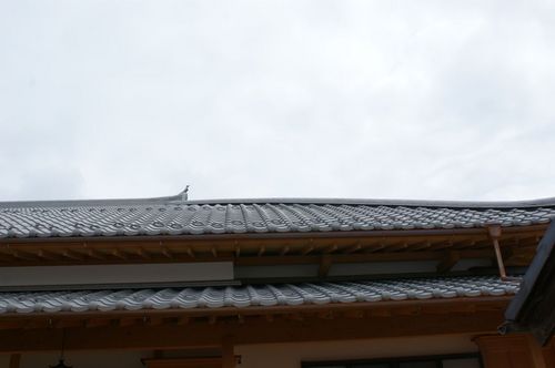 DSC03881.JPG