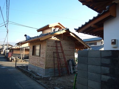 DSCN0679.jpg