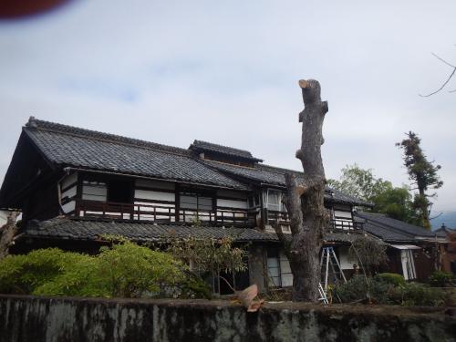 DSCN1053.JPG