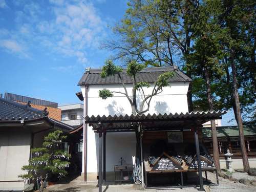 DSCN3010.JPG