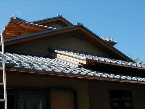 Pa230002.jpg